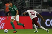 Palmeiras e Fluminense se enfrentaram pela semifinal da Libertadores
