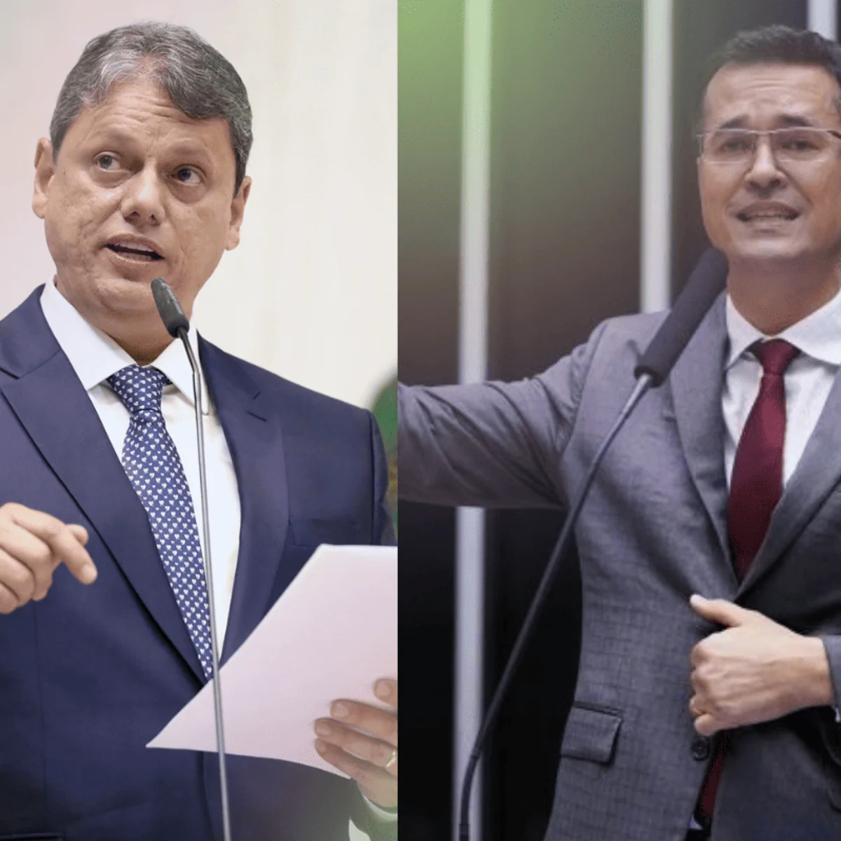 Tarcísio de Freitas elogia e defende que Deltan Dallagnol assuma o Senado
