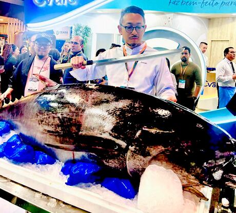 Do pirarucu ao atum: feira apresenta técnicas de corte e conservação do pescado