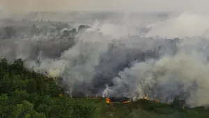 Mengurai Benang Kusut Kebakaran Hutan dan Lahan yang Terus Berulang