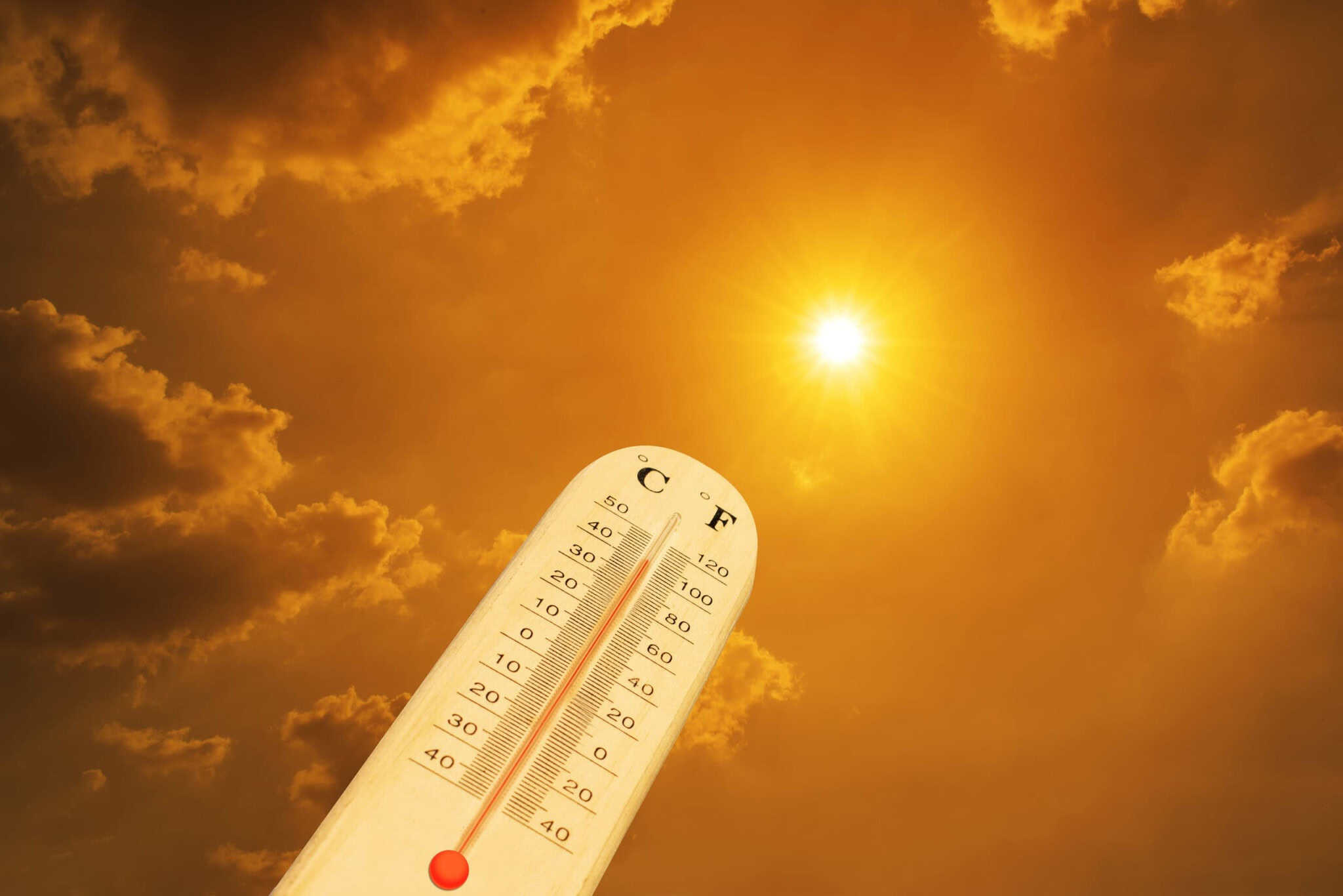 Imagem da matéria: Calor extremo matou mais de 50 mil pessoas em cidades europeias no verão de 2026